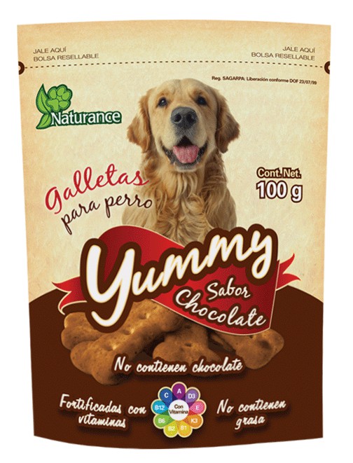 PREMIO YUMMY SABOR CHOCOLATE 100 G