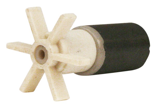 side
